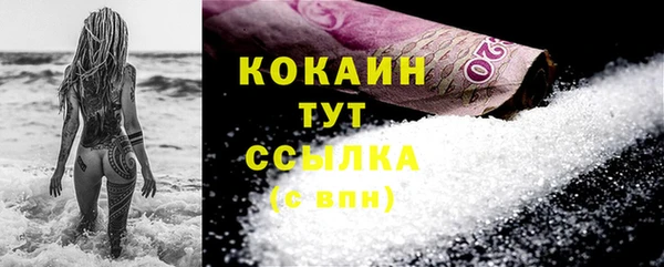 соль ск Алзамай