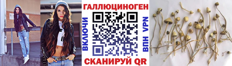 Псилоцибиновые грибы Cubensis  MEGA ССЫЛКА  Нурлат  даркнет сайт 